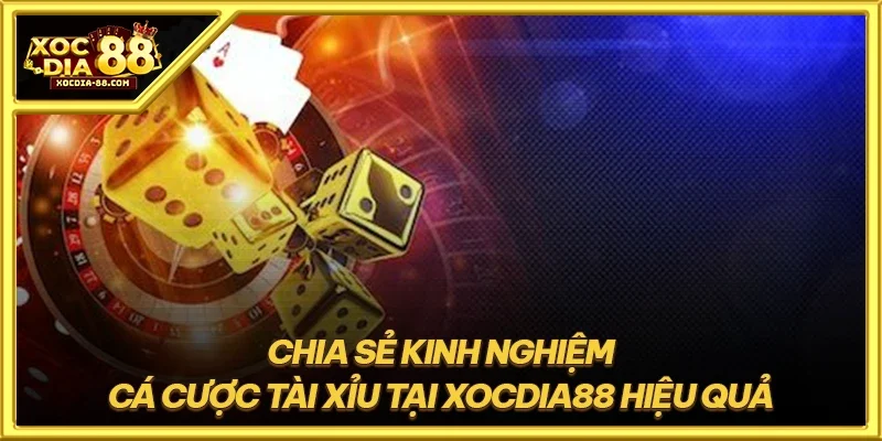 Chia sẻ kinh nghiệm cá cược tài xỉu tại XOCDIA88 hiệu quả