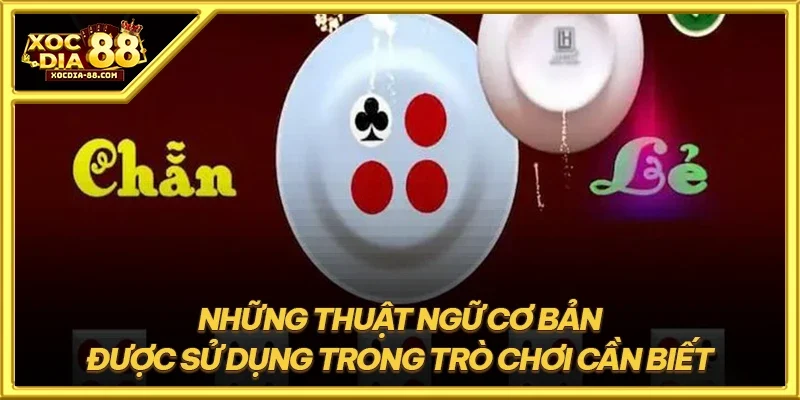 Những thuật ngữ cơ bản được sử dụng trong trò chơi cần biết